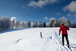 Winteraktivitäten im Bayerischen Wald